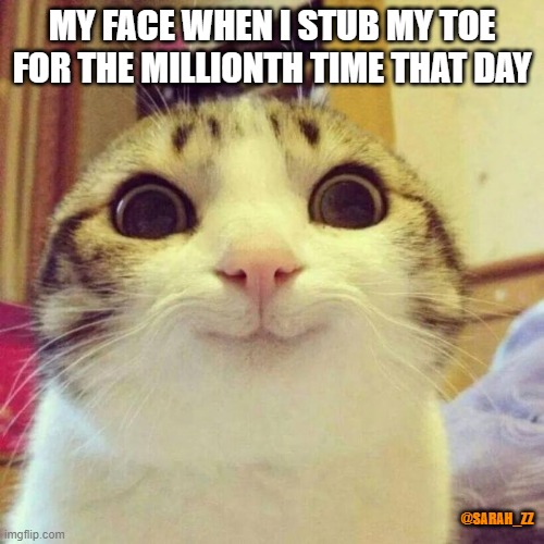 Smiling Cat Meme | MY FACE WHEN I STUB MY TOE FOR THE MILLIONTH TIME THAT DAY; @SARAH_ZZ | image tagged in memes,smiling cat | made w/ Imgflip meme maker