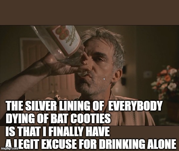 Home Alone At Last | THE SILVER LINING OF  EVERYBODY; DYING OF BAT COOTIES; IS THAT I FINALLY HAVE; A LEGIT EXCUSE FOR DRINKING ALONE | image tagged in covid19,coronavirus,drinking,alcoholic,depression | made w/ Imgflip meme maker