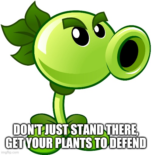 Repeater | DON'T JUST STAND THERE, GET YOUR PLANTS TO DEFEND | image tagged in repeater | made w/ Imgflip meme maker