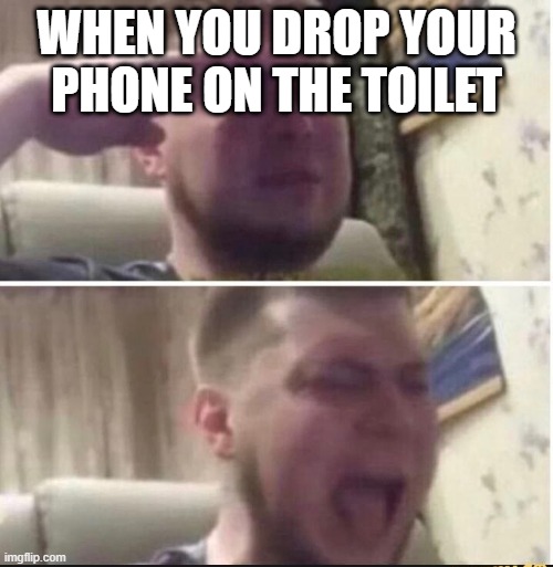 Crying salute | WHEN YOU DROP YOUR PHONE ON THE TOILET | image tagged in crying salute | made w/ Imgflip meme maker