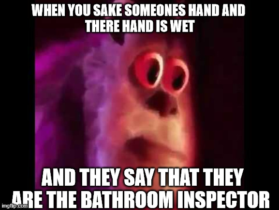 Sully Groan | WHEN YOU SAKE SOMEONES HAND AND 
THERE HAND IS WET; AND THEY SAY THAT THEY ARE THE BATHROOM INSPECTOR | image tagged in sully groan | made w/ Imgflip meme maker