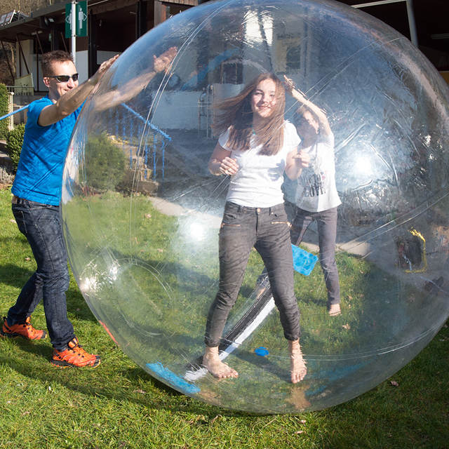 Hamster ball Blank Meme Template