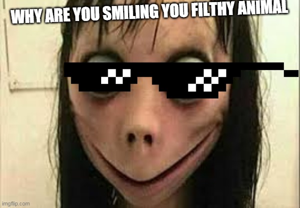 Momo | WHY ARE YOU SMILING YOU FILTHY ANIMAL | image tagged in momo | made w/ Imgflip meme maker