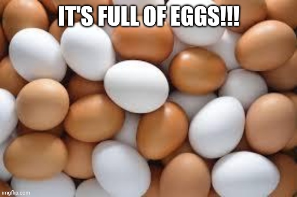 eggs | IT'S FULL OF EGGS!!! | image tagged in eggs | made w/ Imgflip meme maker