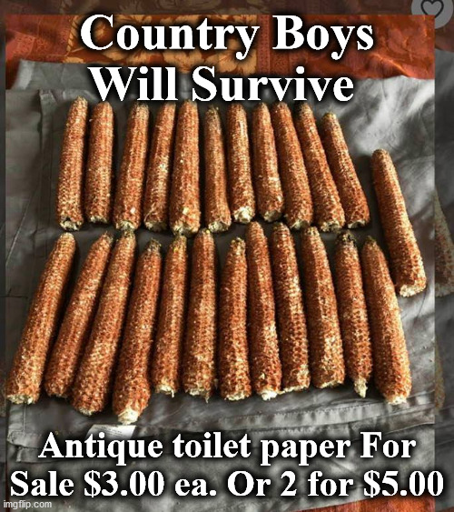 db | Country Boys Will Survive; Antique toilet paper For Sale $3.00 ea. Or 2 for $5.00 | image tagged in db | made w/ Imgflip meme maker