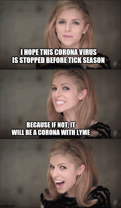 Corona with Lyme |  I HOPE THIS CORONA VIRUS IS STOPPED BEFORE TICK SEASON; BECAUSE IF NOT, IT WILL BE A CORONA WITH LYME | image tagged in memes,bad pun anna kendrick,coronavirus,lyme disease | made w/ Imgflip meme maker