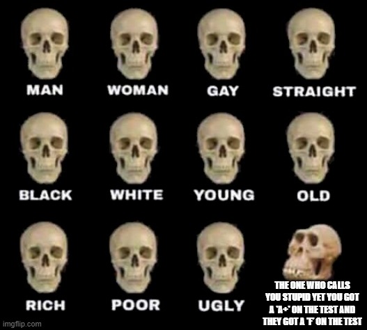 man woman gay straight skull | THE ONE WHO CALLS YOU STUPID YET YOU GOT A 'A+' ON THE TEST AND THEY GOT A 'F' ON THE TEST | image tagged in man woman gay straight skull | made w/ Imgflip meme maker
