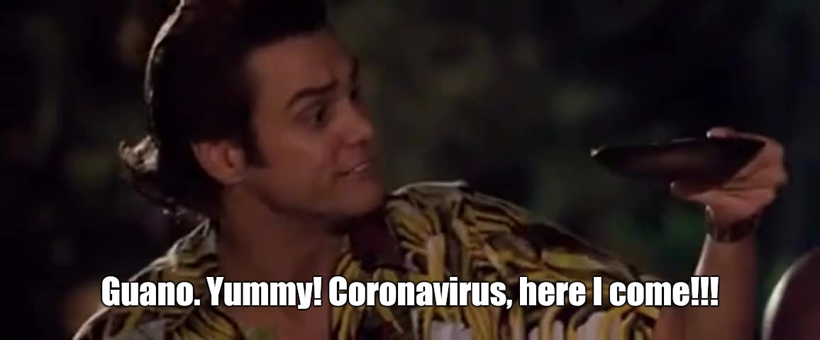 Guano! | Guano. Yummy! Coronavirus, here I come!!! | image tagged in ace ventura,coronavirus,bats | made w/ Imgflip meme maker