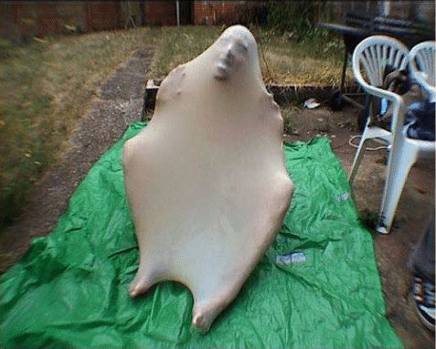 High Quality Condom Man Blank Meme Template