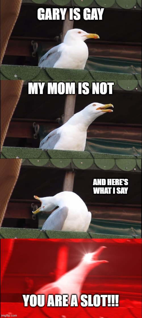 Inhaling Seagull | GARY IS GAY; MY MOM IS NOT; AND HERE'S WHAT I SAY; YOU ARE A SLOT!!! | image tagged in memes,inhaling seagull | made w/ Imgflip meme maker