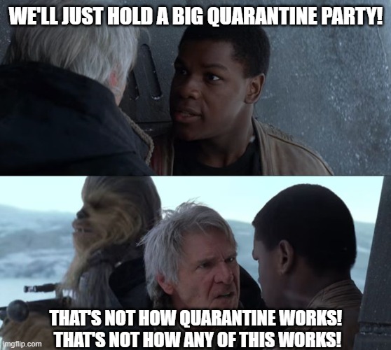 That's not how coronavirus quarantine works | WE'LL JUST HOLD A BIG QUARANTINE PARTY! THAT'S NOT HOW QUARANTINE WORKS!  THAT'S NOT HOW ANY OF THIS WORKS! | image tagged in that's not how the force works,coronavirus,star wars,that's not how this works,that's not how any of this works | made w/ Imgflip meme maker