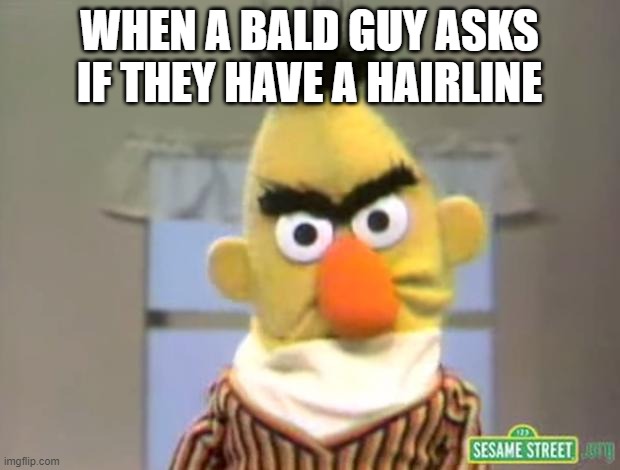 Sesame Street - Angry Bert | WHEN A BALD GUY ASKS IF THEY HAVE A HAIRLINE | image tagged in sesame street - angry bert | made w/ Imgflip meme maker