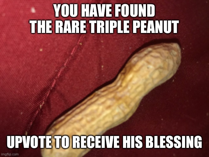 I don't want up votes I just thought this image fit that text | YOU HAVE FOUND THE RARE TRIPLE PEANUT; UPVOTE TO RECEIVE HIS BLESSING | image tagged in meme,peanut,upvote begging | made w/ Imgflip meme maker