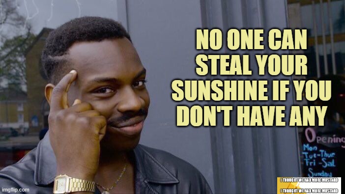 No Steal The Sunshine, No? | NO ONE CAN STEAL YOUR SUNSHINE IF YOU DON'T HAVE ANY | image tagged in memes,roll safe think about it | made w/ Imgflip meme maker