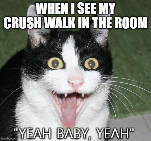 Crush meme | WHEN I SEE MY CRUSH WALK IN THE ROOM; "YEAH BABY, YEAH" | image tagged in excited cat,crush,memes,funny,love,oh yeah | made w/ Imgflip meme maker