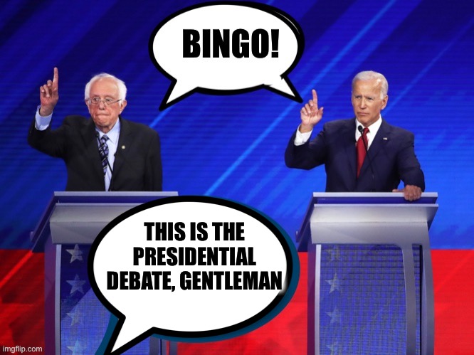Sunday Democratic Debates: A recap | THIS IS THE PRESIDENTIAL DEBATE, GENTLEMAN | image tagged in joe biden,bernie sanders,democrats,democratic party,presidential debate | made w/ Imgflip meme maker