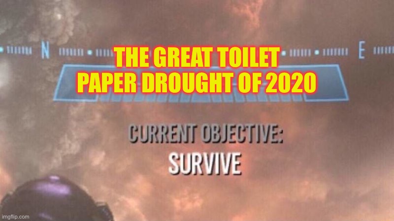 Wipe-out ! | THE GREAT TOILET PAPER DROUGHT OF 2020 | image tagged in current objective survive,covid-19,no more toilet paper | made w/ Imgflip meme maker