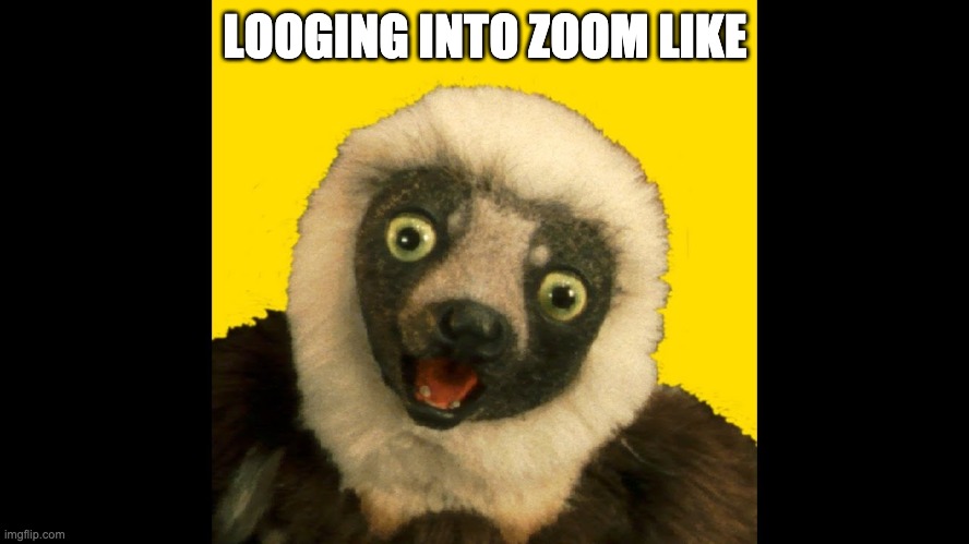 LOOGING INTO ZOOM LIKE | image tagged in fun,zoom,onlineclass,conference,networking,college | made w/ Imgflip meme maker