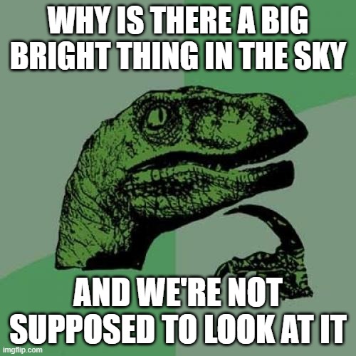Philosoraptor Meme | WHY IS THERE A BIG BRIGHT THING IN THE SKY; AND WE'RE NOT SUPPOSED TO LOOK AT IT | image tagged in memes,philosoraptor | made w/ Imgflip meme maker