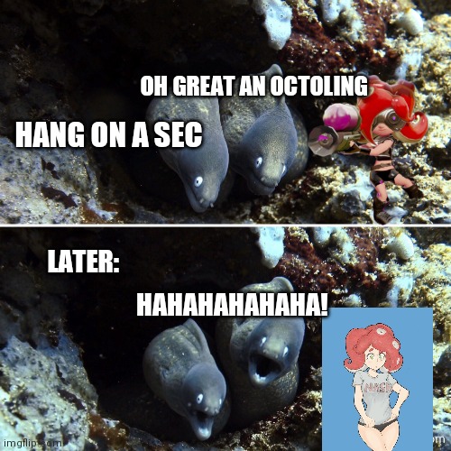 Aquatic, Scuba, Underwater | OH GREAT AN OCTOLING; HANG ON A SEC; LATER:; HAHAHAHAHAHA! | image tagged in aquatic scuba underwater | made w/ Imgflip meme maker