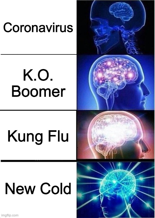 Expanding Brain | Coronavirus; K.O. Boomer; Kung Flu; New Cold | image tagged in memes,expanding brain | made w/ Imgflip meme maker