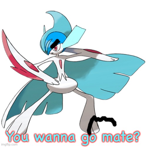 You wanna go mate? | image tagged in frost the gallade | made w/ Imgflip meme maker