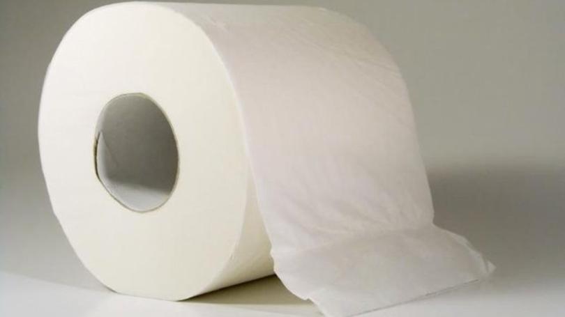 toilet paper roll Blank Meme Template
