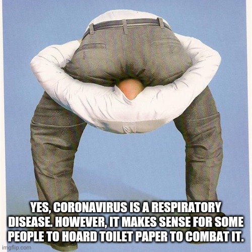 head up butt | YES, CORONAVIRUS IS A RESPIRATORY DISEASE. HOWEVER, IT MAKES SENSE FOR SOME PEOPLE TO HOARD TOILET PAPER TO COMBAT IT. | image tagged in head up butt | made w/ Imgflip meme maker