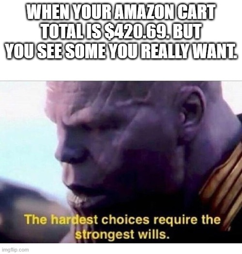 THANOS HARDEST CHOICES | WHEN YOUR AMAZON CART TOTAL IS $420.69. BUT YOU SEE SOME YOU REALLY WANT. | image tagged in thanos hardest choices | made w/ Imgflip meme maker
