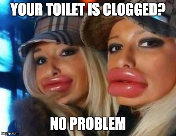 Duck Face Chicks Meme |  YOUR TOILET IS CLOGGED? NO PROBLEM | image tagged in memes,duck face chicks | made w/ Imgflip meme maker