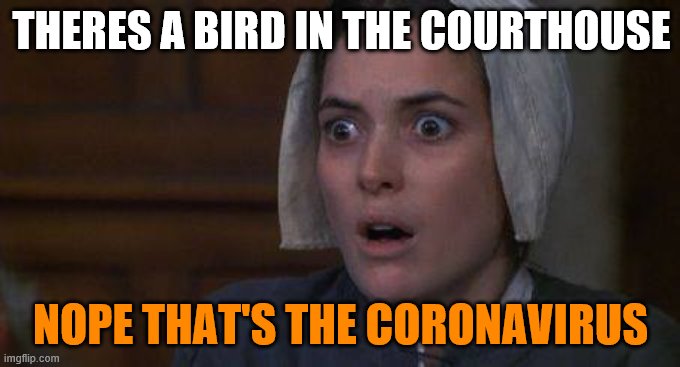 Crucible Abby | THERES A BIRD IN THE COURTHOUSE; NOPE THAT'S THE CORONAVIRUS | image tagged in crucible abby,coronavirus | made w/ Imgflip meme maker