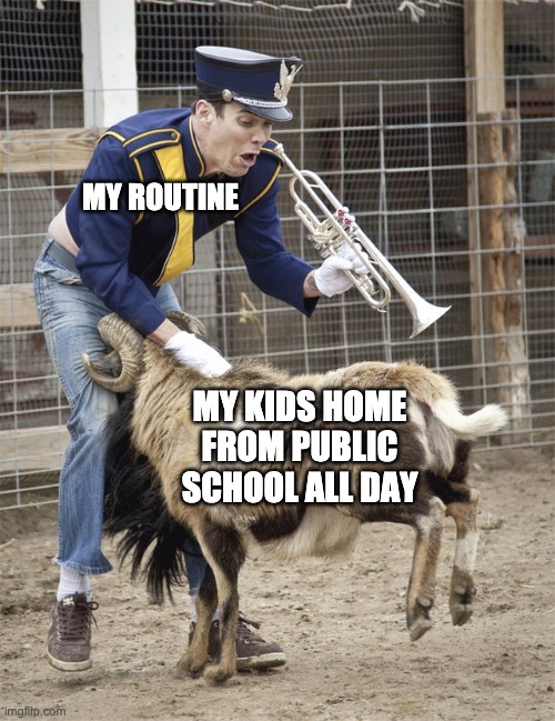 COVID-19 casualties | MY ROUTINE; MY KIDS HOME FROM PUBLIC SCHOOL ALL DAY | image tagged in parenting,quarantine | made w/ Imgflip meme maker