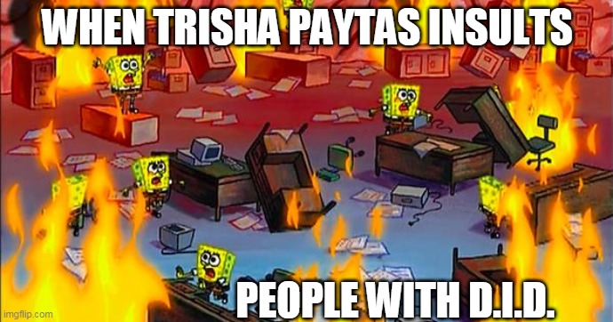 WHEN TRISHA PAYTAS INSULTS; PEOPLE WITH D.I.D. | made w/ Imgflip meme maker