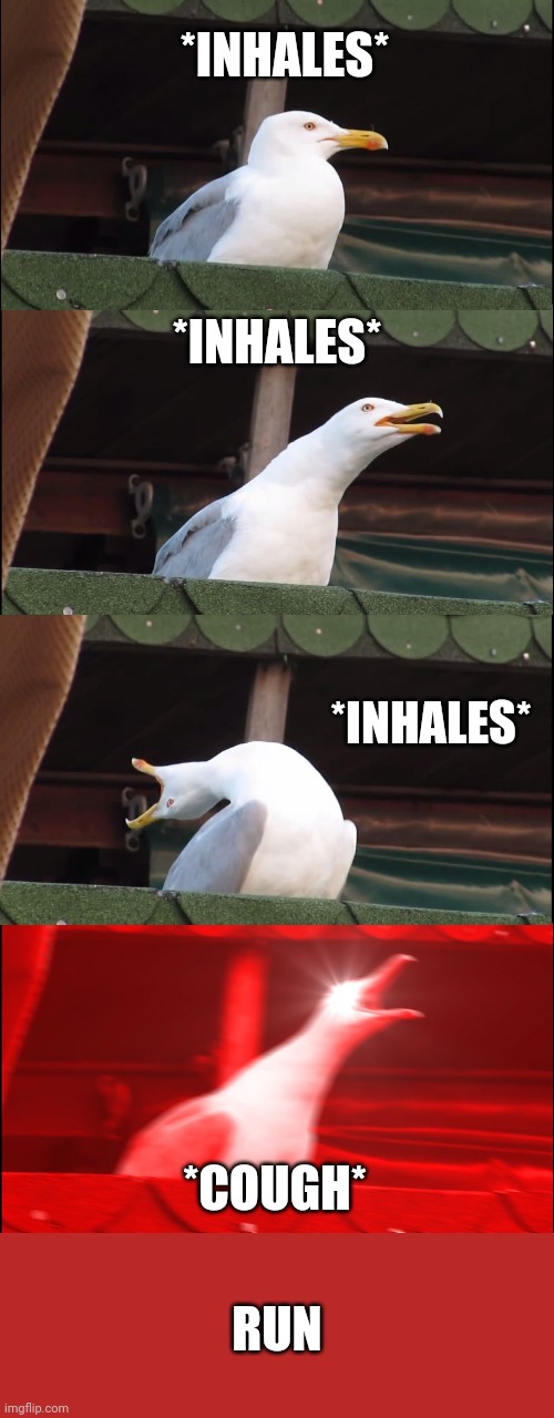 Inhaling Seagull Meme | *INHALES*; *INHALES*; *INHALES*; *COUGH*; RUN | image tagged in memes,inhaling seagull | made w/ Imgflip meme maker