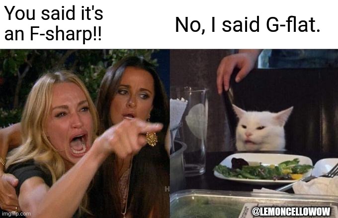 Woman Yelling At Cat Meme | You said it's an F-sharp!! No, I said G-flat. @LEMONCELLOWOW | image tagged in memes,woman yelling at cat | made w/ Imgflip meme maker