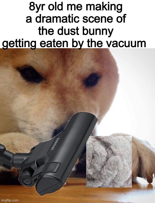 Who can relate? (Sorry the dust bunny looks so bad, I couldn’t find a transparent full image) | 8yr old me making a dramatic scene of the dust bunny getting eaten by the vacuum | image tagged in blank white template,now kiss doge | made w/ Imgflip meme maker