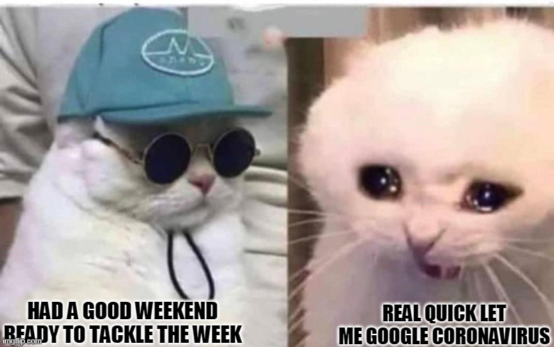 Monday March 2020 | REAL QUICK LET ME GOOGLE CORONAVIRUS; HAD A GOOD WEEKEND READY TO TACKLE THE WEEK | image tagged in coronavirus,cute cat,mondays | made w/ Imgflip meme maker