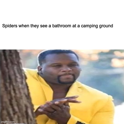 Spiders when they see a bathroom at a camping ground | image tagged in spiders | made w/ Imgflip meme maker