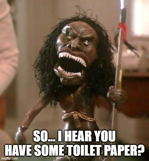 toilet paper | SO... I HEAR YOU HAVE SOME TOILET PAPER? | image tagged in toilet paper | made w/ Imgflip meme maker
