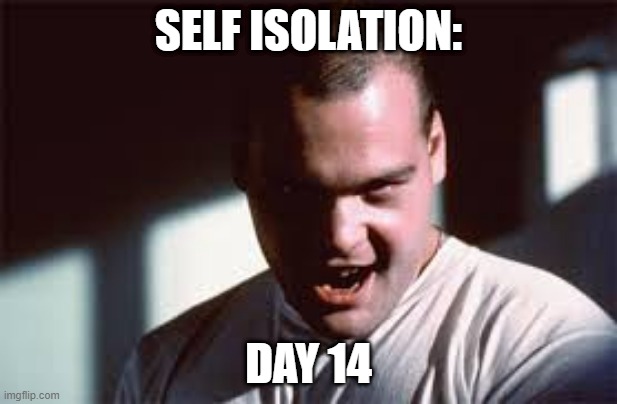 This is my virus, there are many like it ... | SELF ISOLATION:; DAY 14 | image tagged in coronavirus,stay safe everyone,self isolate | made w/ Imgflip meme maker