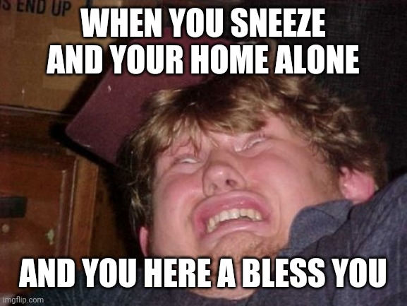 WTF Meme | WHEN YOU SNEEZE AND YOUR HOME ALONE; AND YOU HERE A BLESS YOU | image tagged in memes,wtf | made w/ Imgflip meme maker