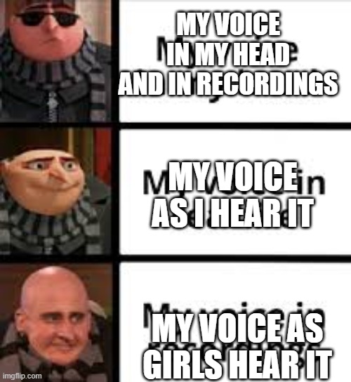 cool gru, ok gru, shitty gru | MY VOICE IN MY HEAD AND IN RECORDINGS; MY VOICE AS I HEAR IT; MY VOICE AS GIRLS HEAR IT | image tagged in cool gru ok gru crappy gru | made w/ Imgflip meme maker