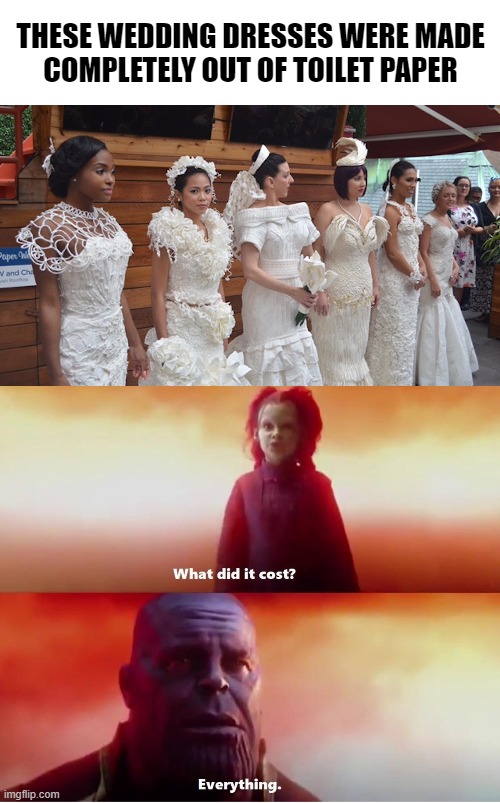 In 2020 value intensifires | THESE WEDDING DRESSES WERE MADE
COMPLETELY OUT OF TOILET PAPER | image tagged in thanos what did it cost,memes,toilet paper,wedding dress | made w/ Imgflip meme maker