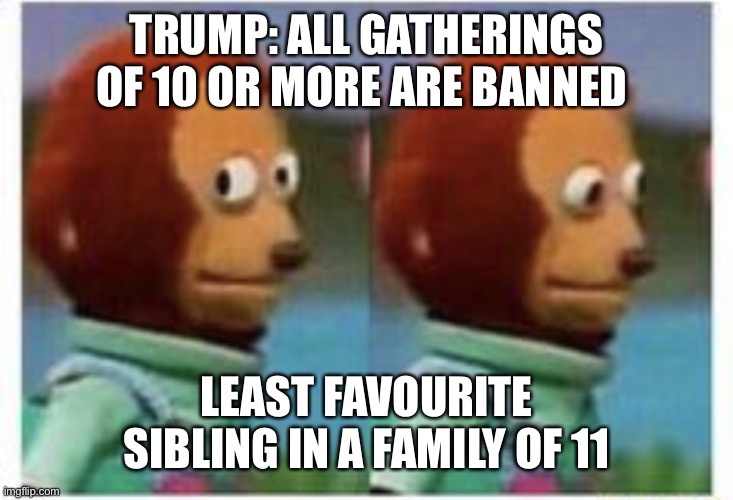 side eye teddy | TRUMP: ALL GATHERINGS OF 10 OR MORE ARE BANNED; LEAST FAVOURITE SIBLING IN A FAMILY OF 11 | image tagged in side eye teddy | made w/ Imgflip meme maker