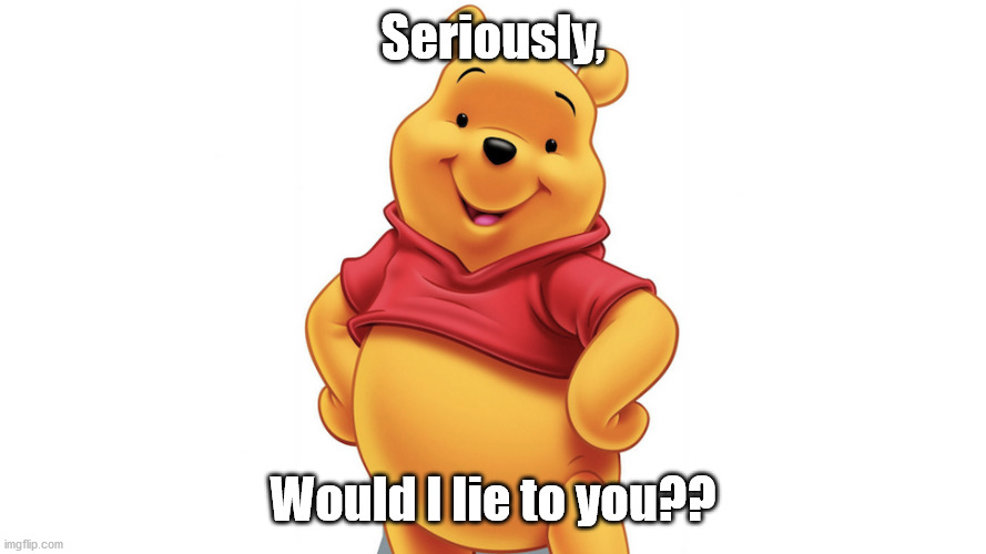 Pooh | Seriously, Would I lie to you?? | image tagged in pooh | made w/ Imgflip meme maker