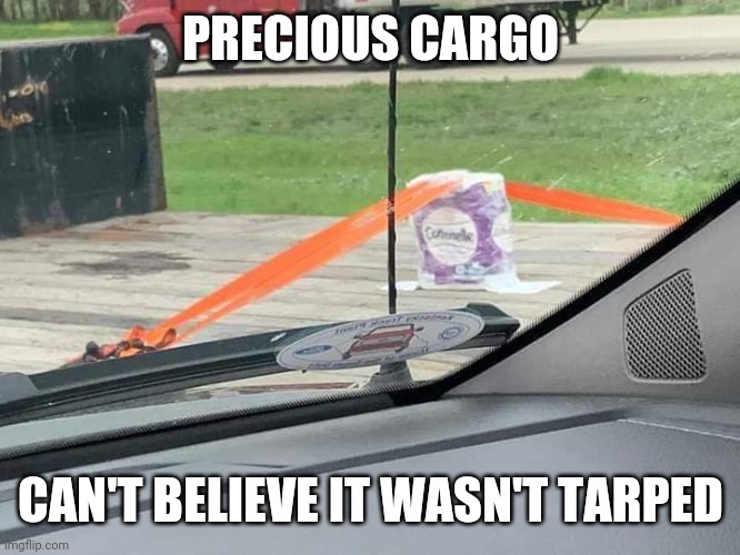 Precious cargo | PRECIOUS CARGO; CAN'T BELIEVE IT WASN'T TARPED | image tagged in hot | made w/ Imgflip meme maker