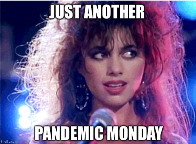 Pandemic Monday | image tagged in pandemic monday | made w/ Imgflip meme maker