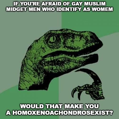 Or just a weirdo? | IF YOU'RE AFRAID OF GAY MUSLIM MIDGET MEN WHO IDENTIFY AS WOMEM; WOULD THAT MAKE YOU A HOMOXENOACHONDROSEXIST? | image tagged in memes,philosoraptor | made w/ Imgflip meme maker