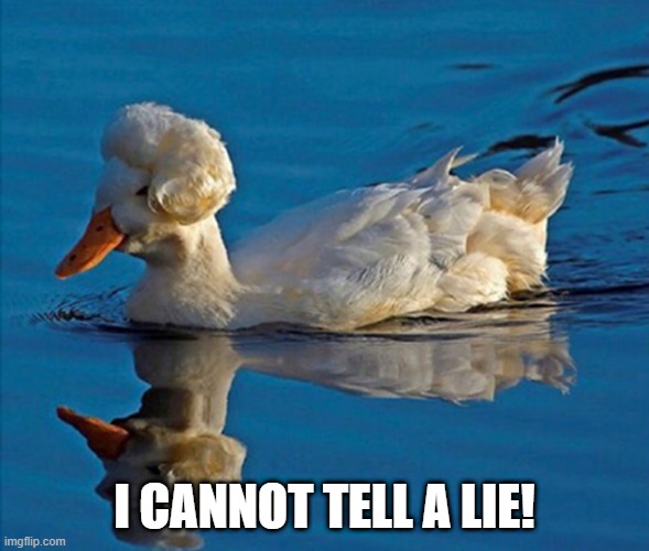 George Washingduck | I CANNOT TELL A LIE! | image tagged in duck | made w/ Imgflip meme maker