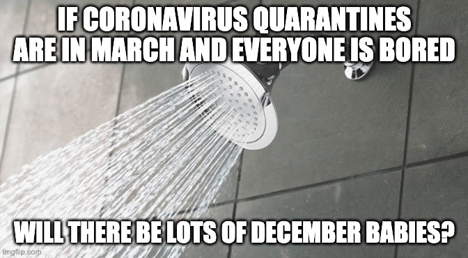 Shower Thoughts | IF CORONAVIRUS QUARANTINES ARE IN MARCH AND EVERYONE IS BORED; WILL THERE BE LOTS OF DECEMBER BABIES? | image tagged in shower thoughts | made w/ Imgflip meme maker